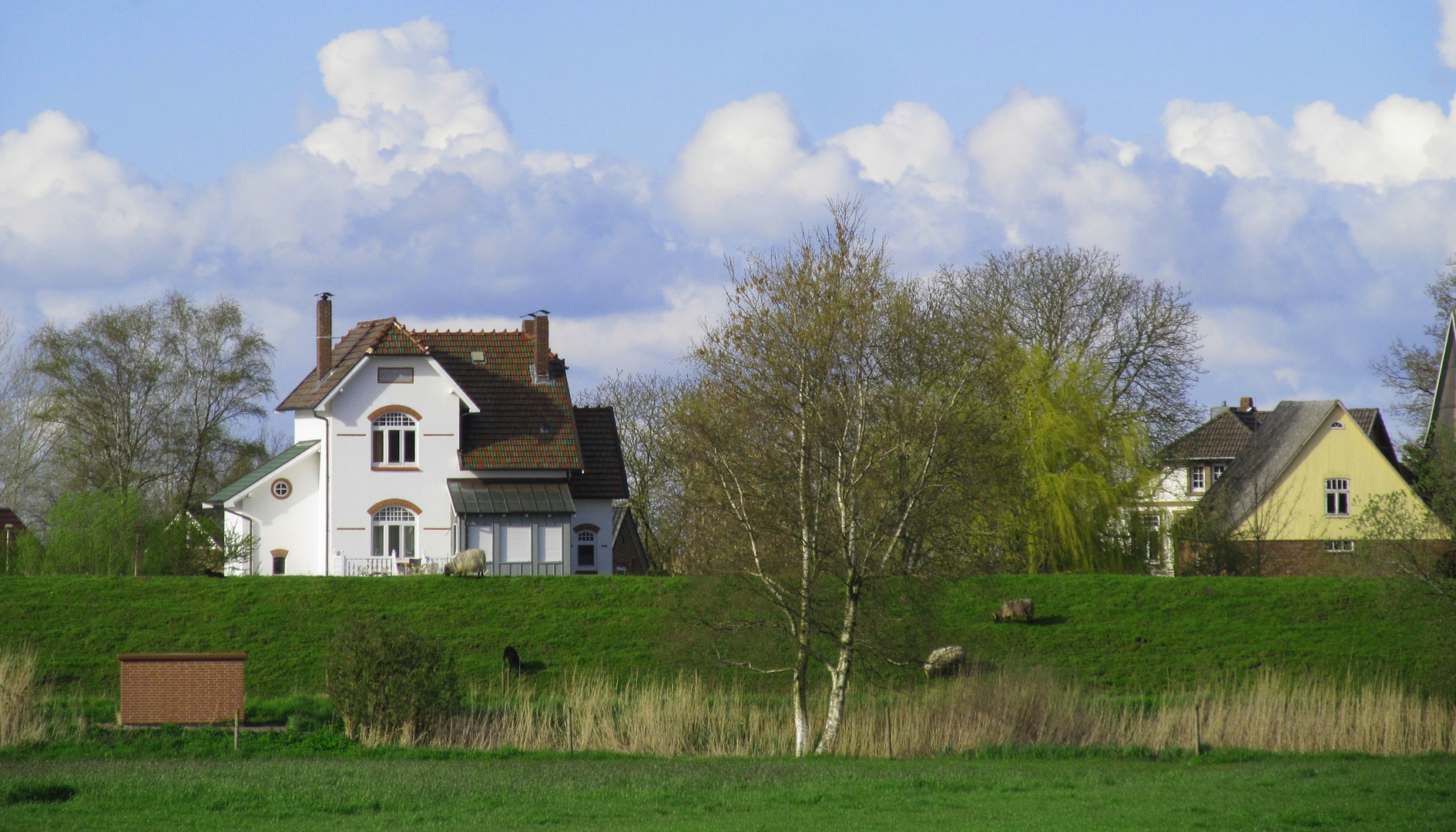 Die Villa auf dem Deich. Foto & Bild dokumentation, landschaften