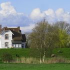 Die Villa auf dem Deich ....