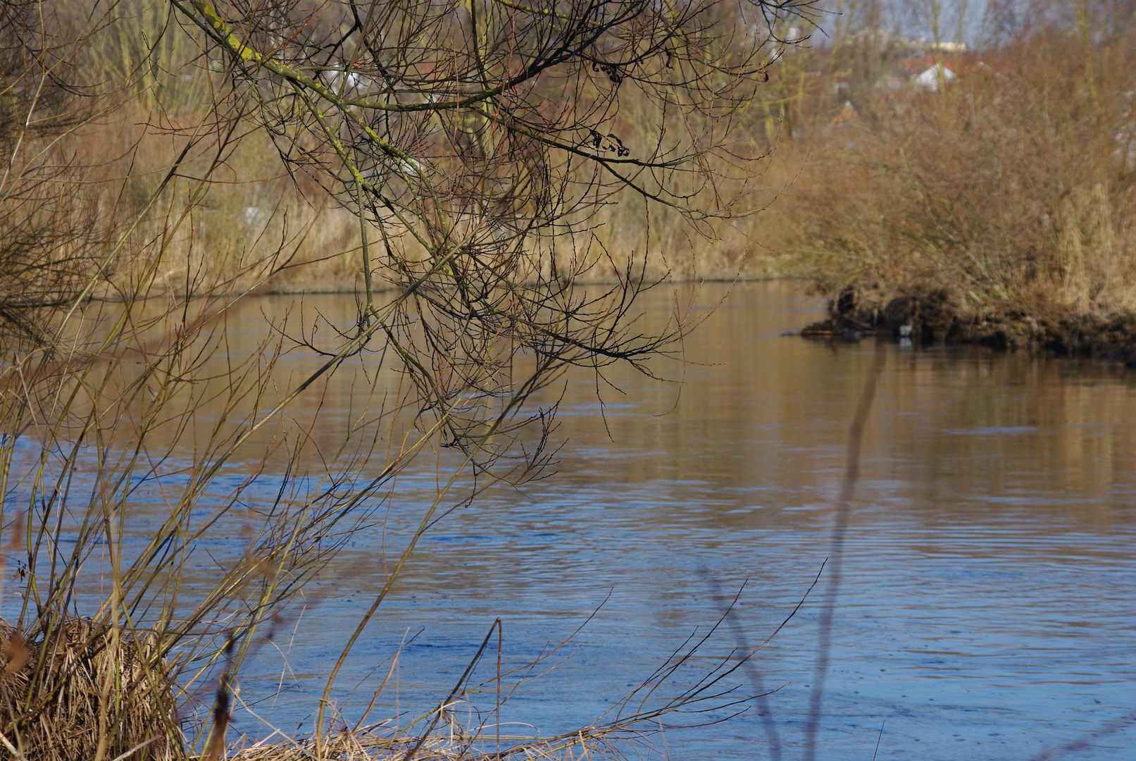 Die Vilsauen am Drahthammer