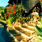 die vingerclip-lodge in namibia