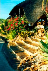 die vingerclip-lodge in namibia