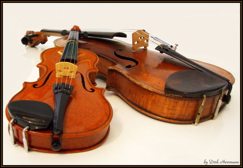 Die Violinen