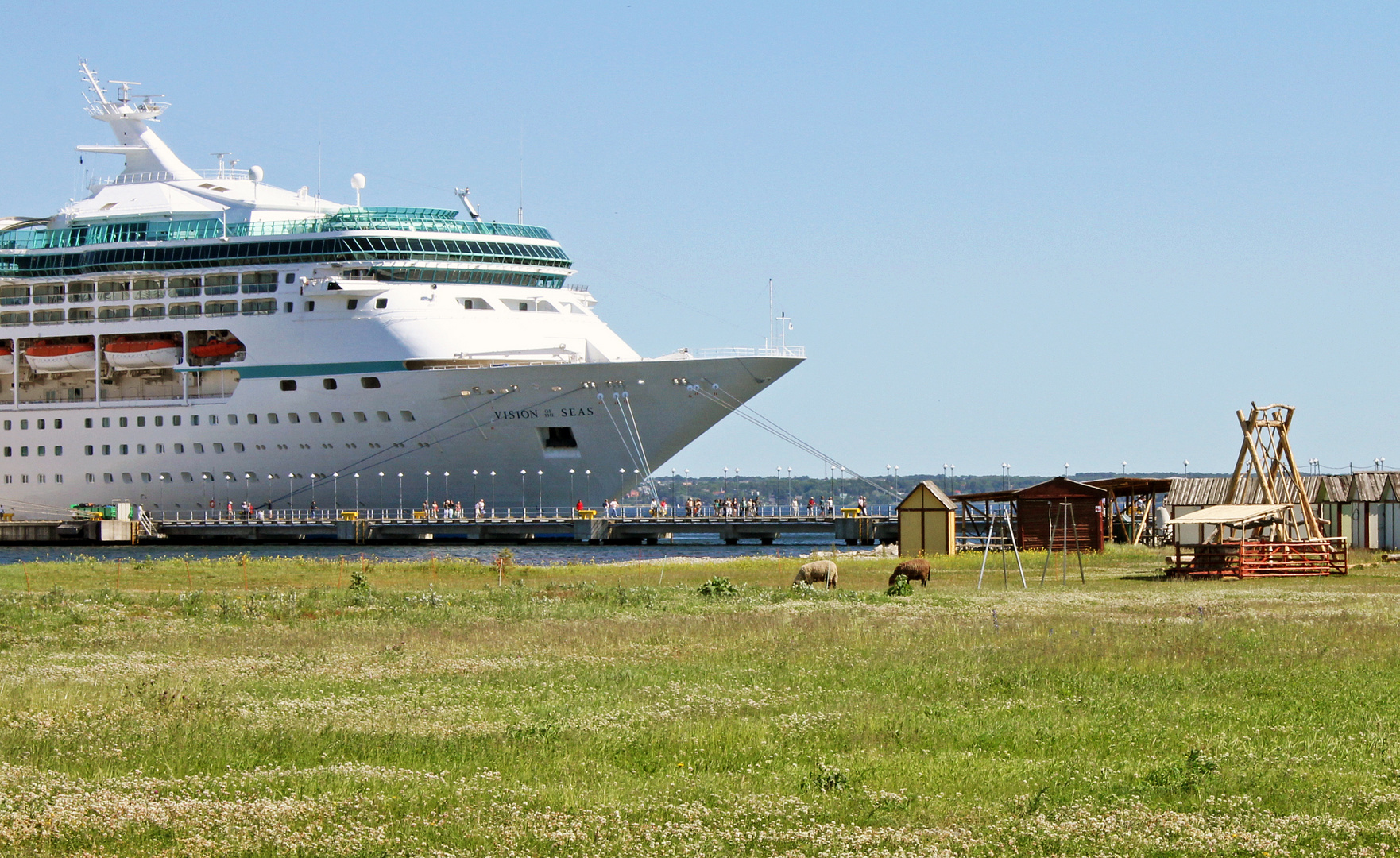 Die Vision of the Seas in Tallinn