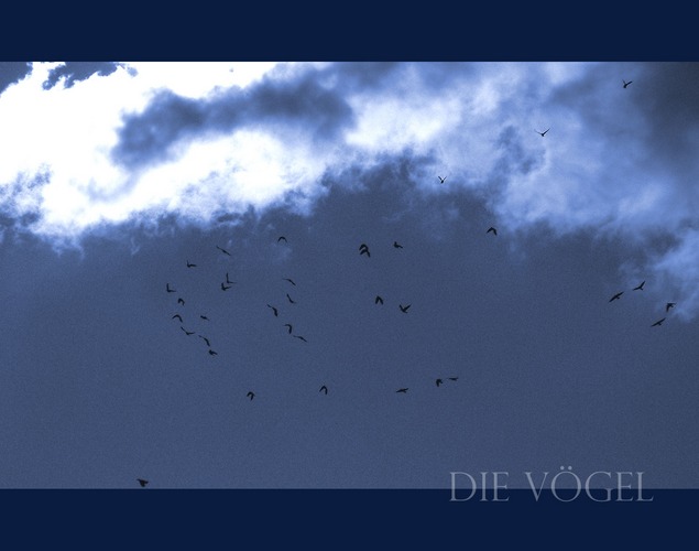 Die Vögel