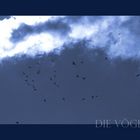 Die Vögel