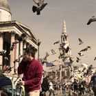 Die Vögel auf dem Trafalgar-Square in London