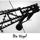 Die Vögel