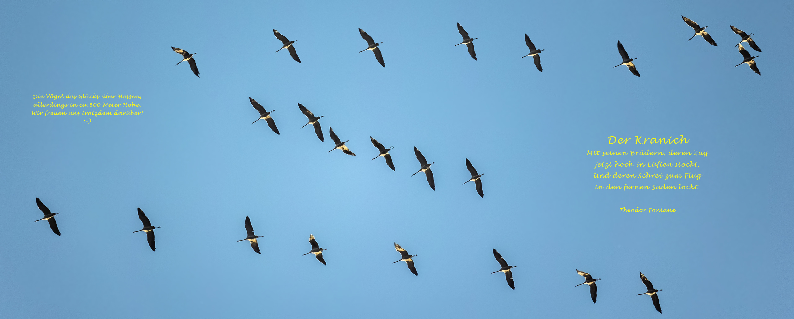 Die Vögel des Glücks über Hessen