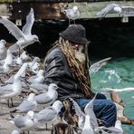 „Die Vögel“ … im Hafen von Queenstown, Neuseeland