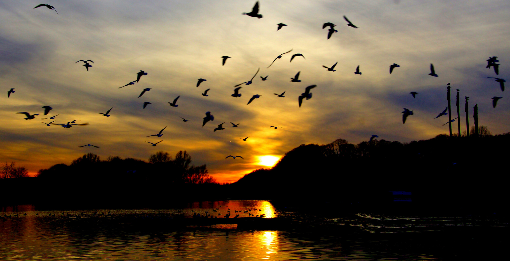 DIE VÖGEL...( Sonnenuntergang am Kemnader See in Bochum) 