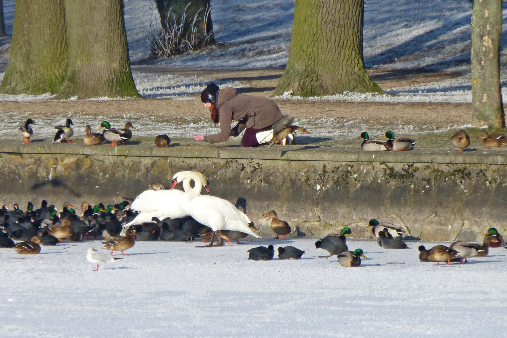 Die Vogelflüsterin beim Füttern