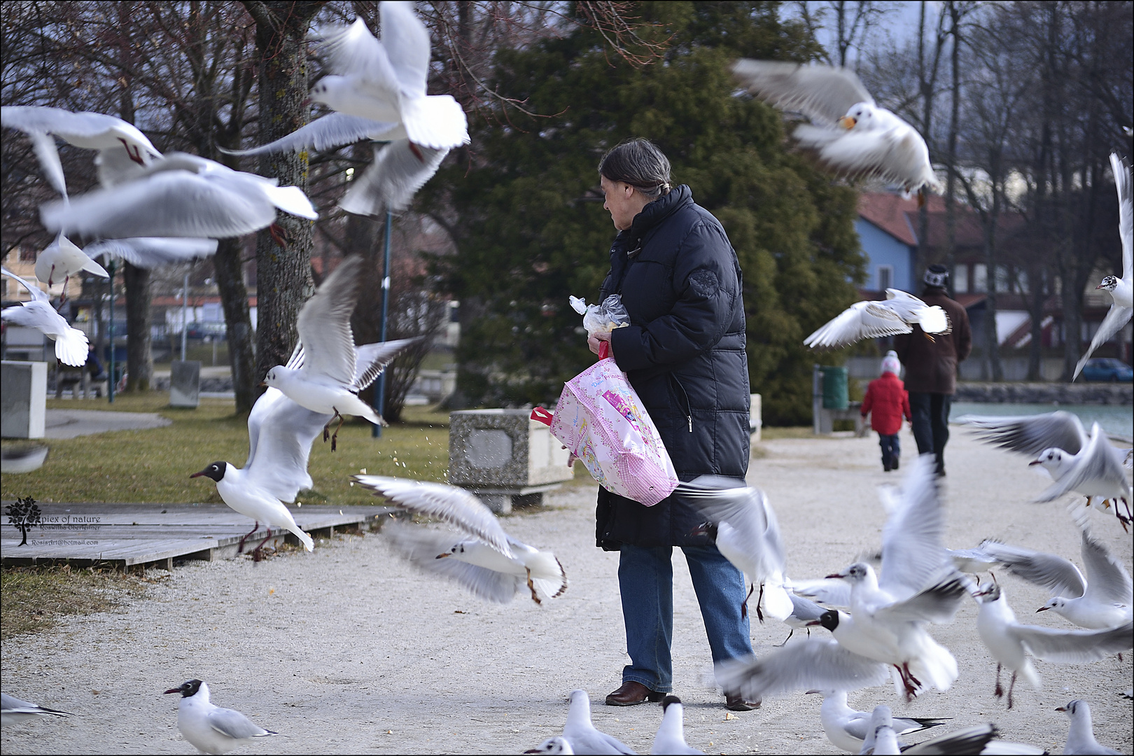 die Vogelfrau