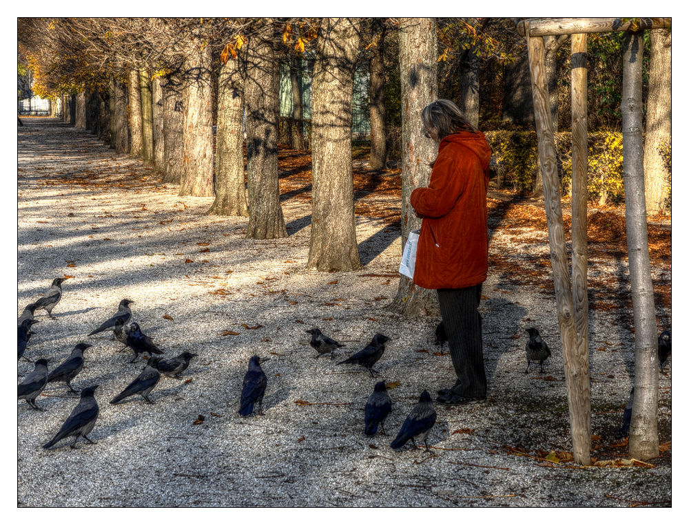 Die Vogelfreundin