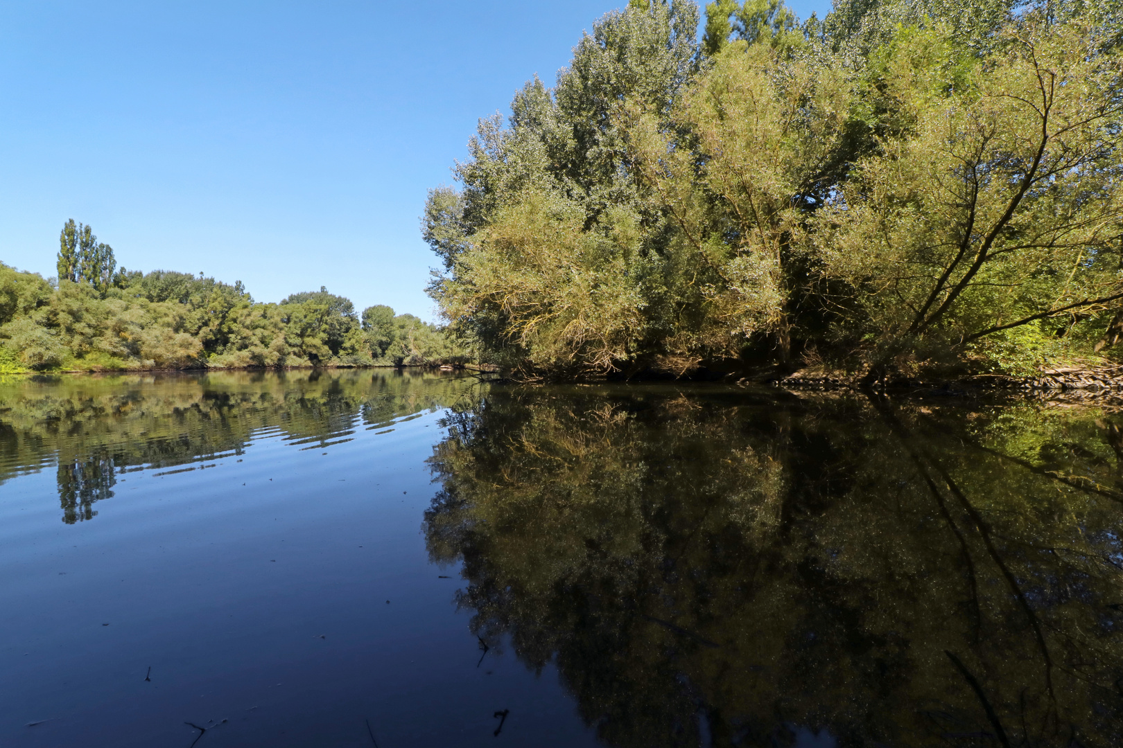 Die Vogelinsel