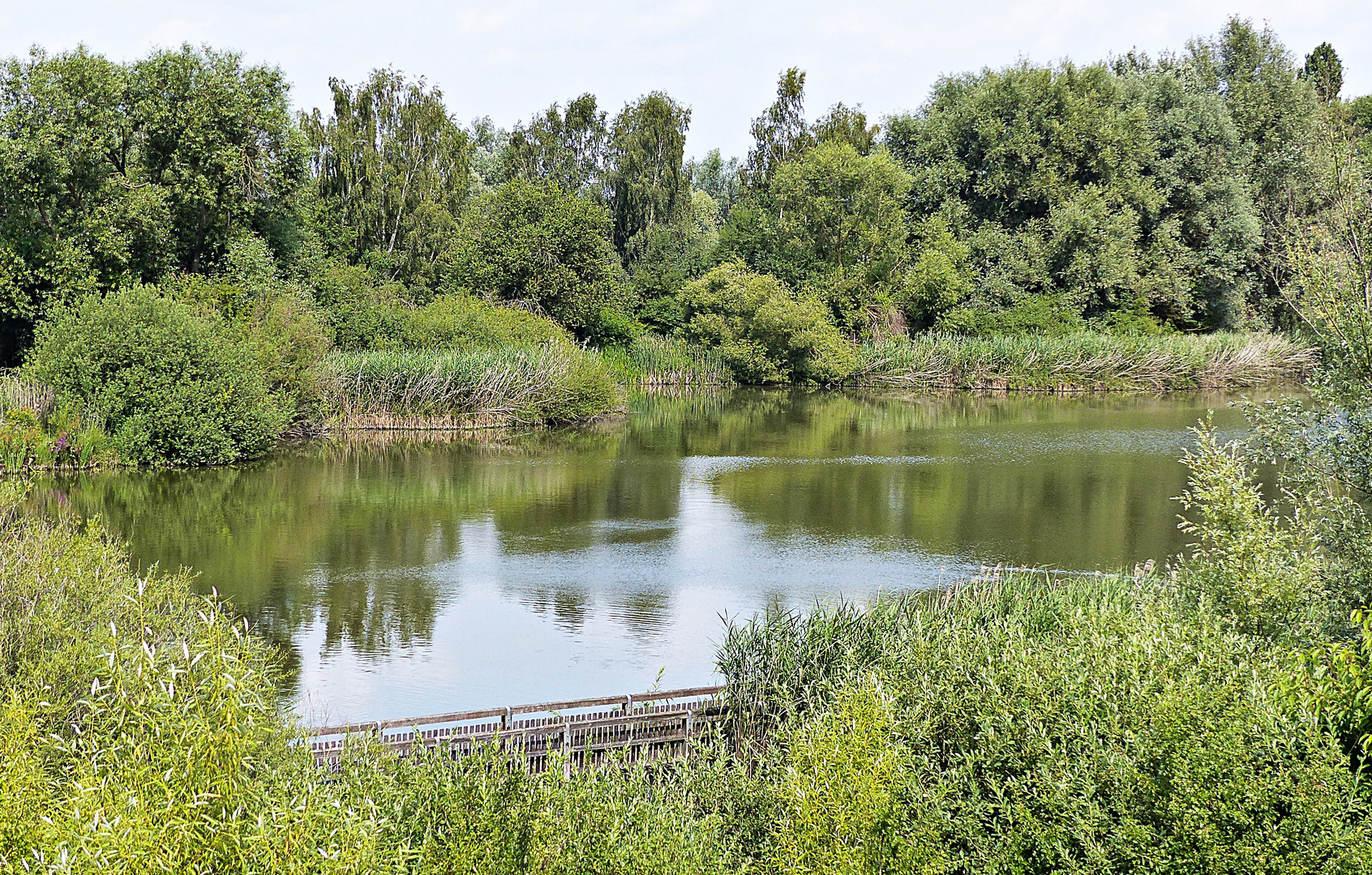 Die Vogelinsel