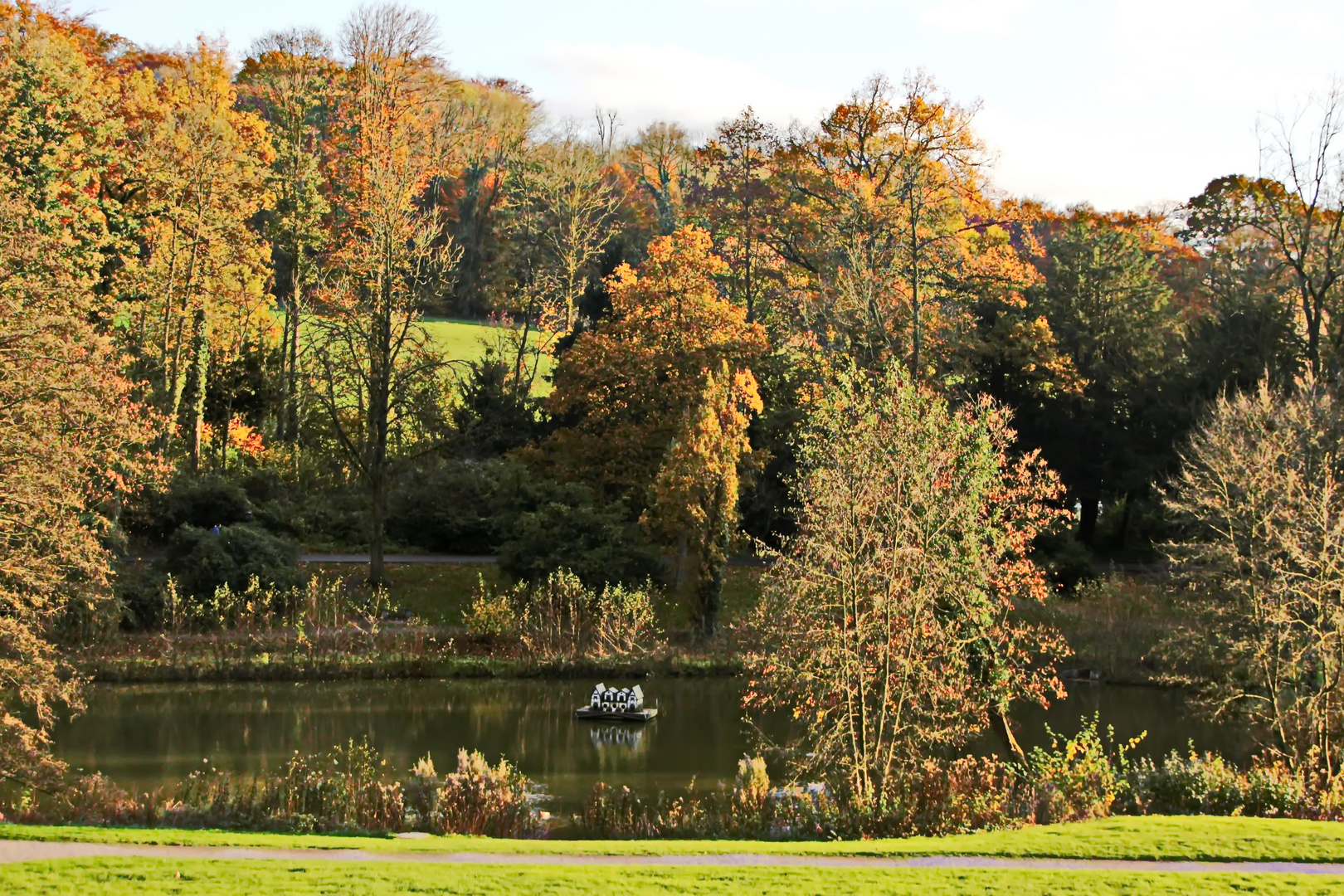 die Vogelinsel auf dem Teich