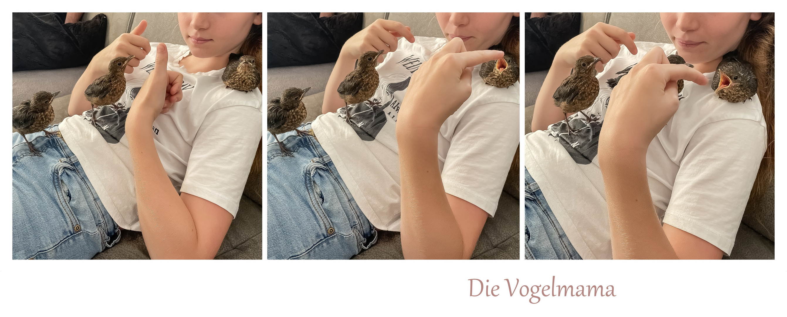 Die Vogelmama