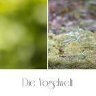 Die Vogelwelt