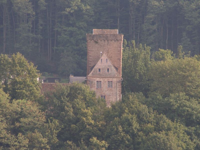 Die Vorderburg / Neckarsteinach / Neckartal