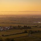 Die Vorderpfalz im Morgenlicht