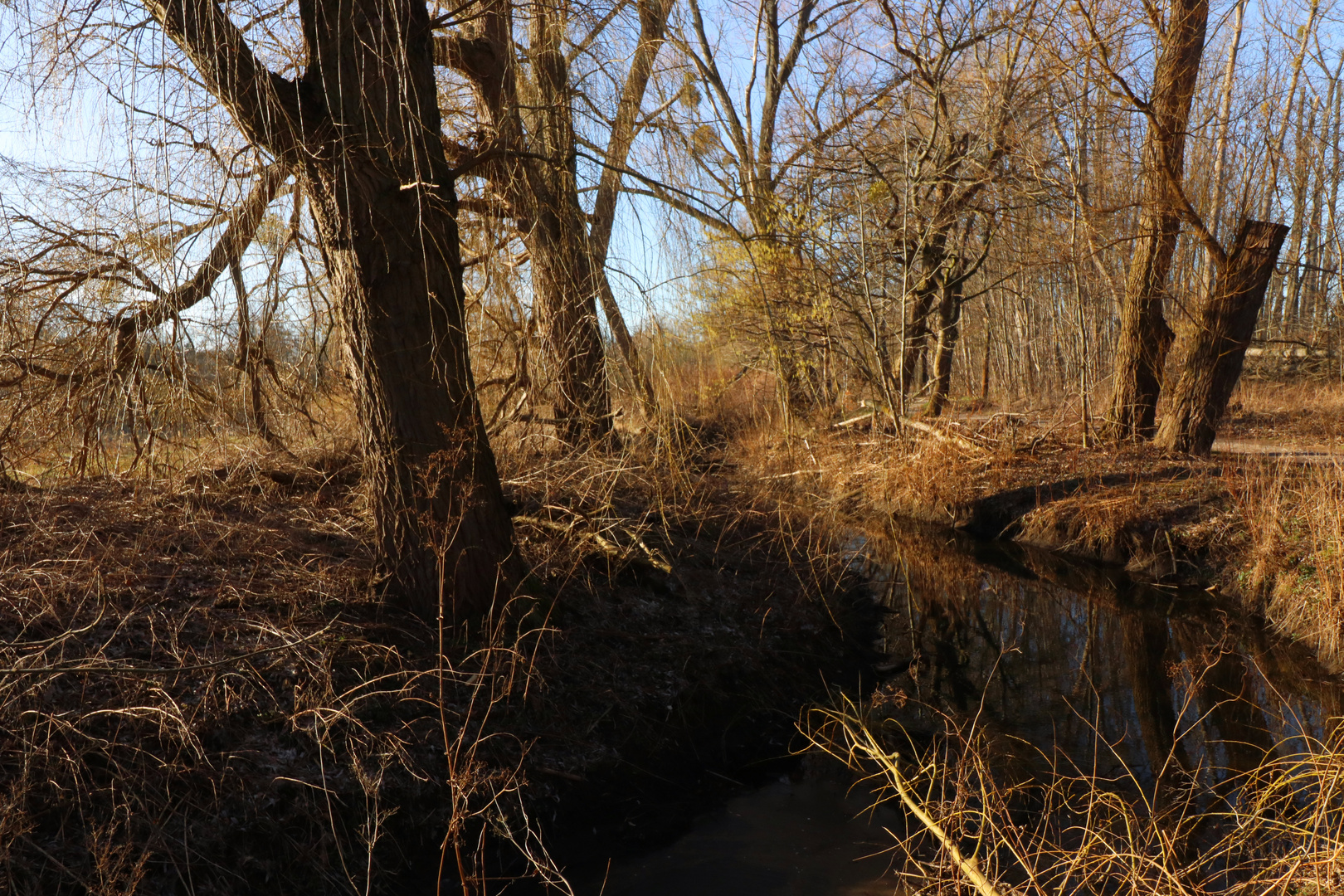 Die Wabe am Walkholzweg