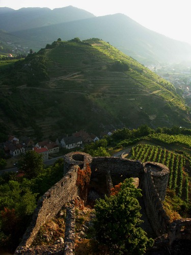 Die Wachau erwacht...