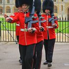 Die Wachen von Windsor II