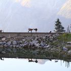 die Wachmannschaft vom Traualpsee