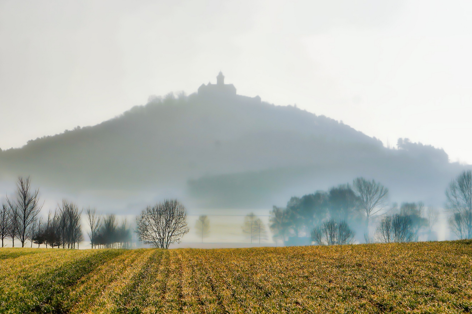 die Wachsenburg