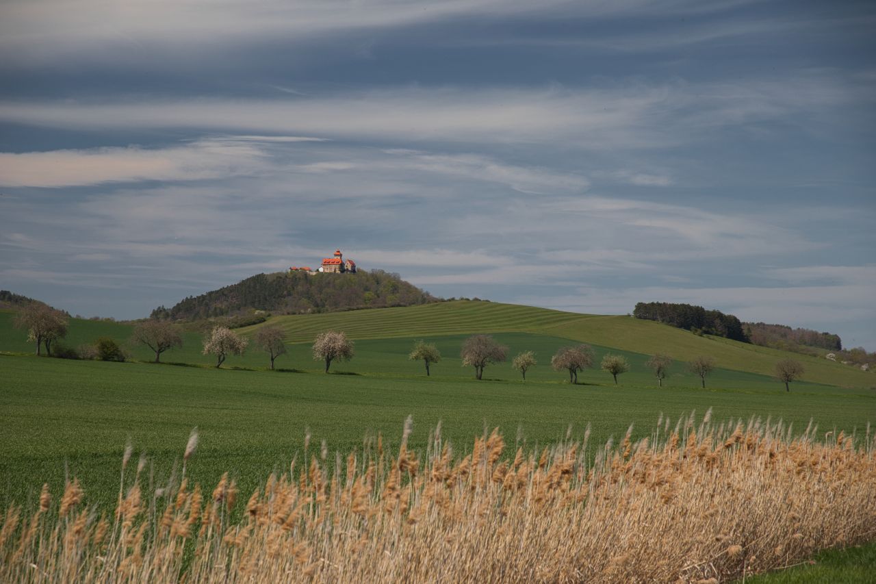 Die Wachsenburg