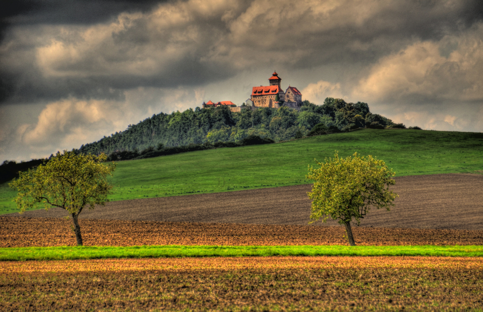 Die Wachsenburg