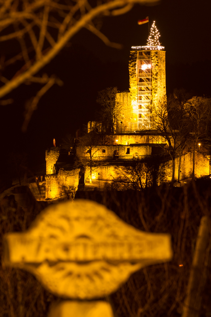 Die Wachtenburg in Wachenheim an der Weinstraße 2