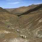 Die Wadis im Hoggar-Gebirge