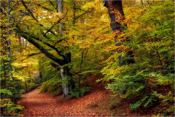 Die Wächter am Wegesrand 
