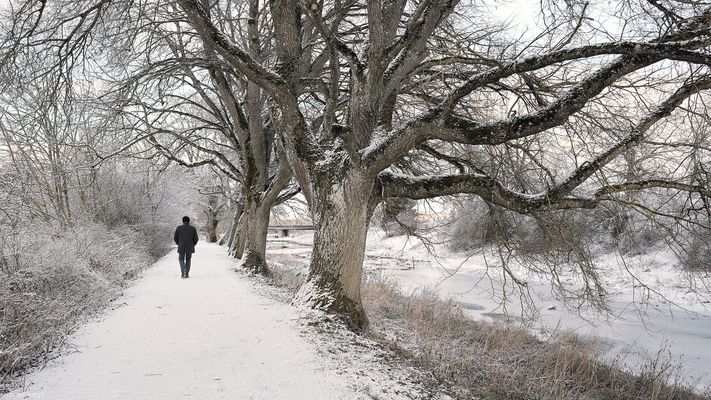 Die Wächter des Baches