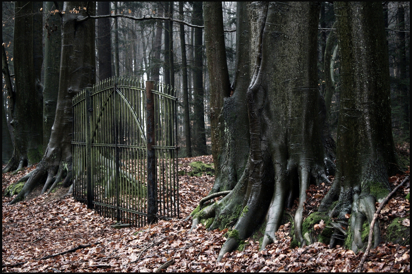 DIe Wächter des Guten