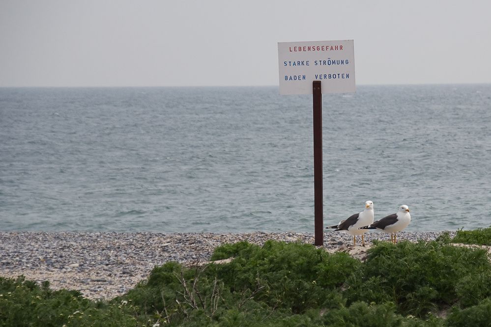 die Wächter des Strandes ...