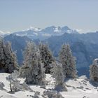 Die Wächter des Winters ...