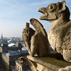 Die Wächter von Notre Dame.