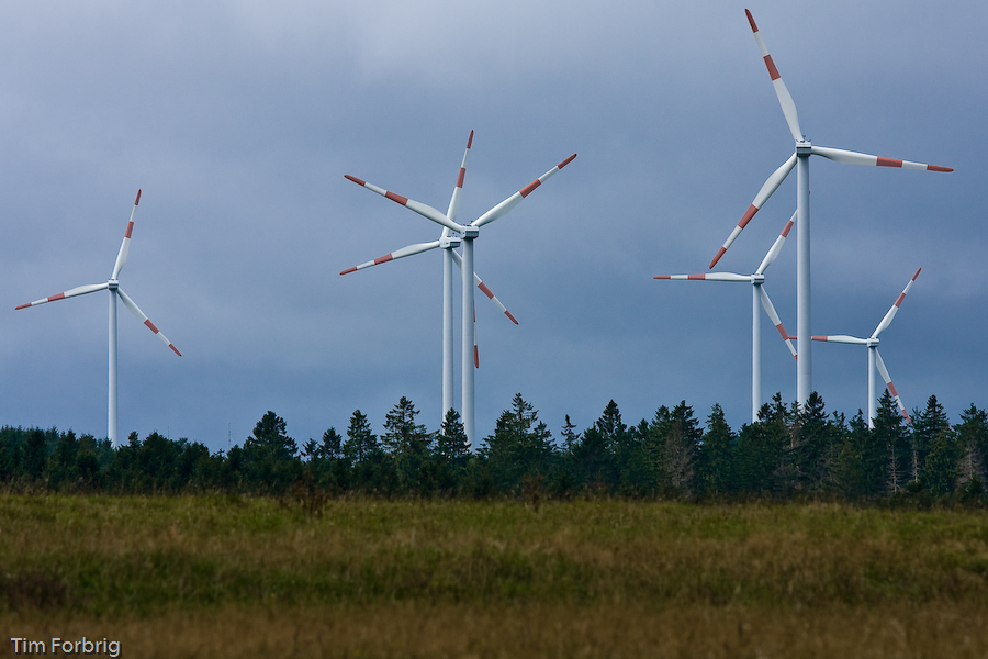 Die Wälder der Zukunft