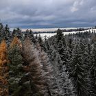 Die Wälder des Emmental