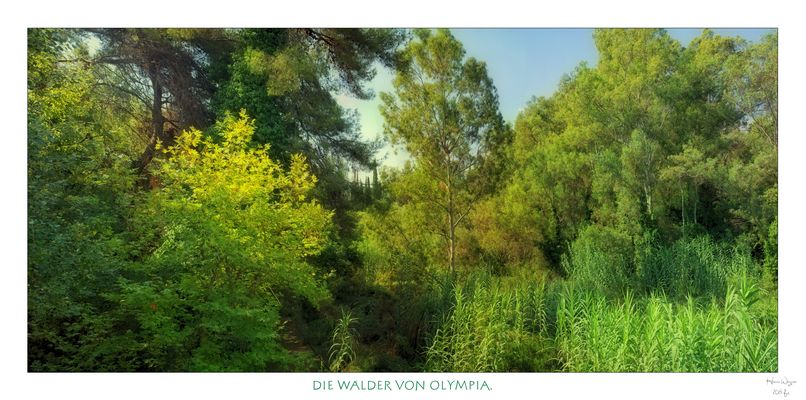 >>die wälder von olympia.<<