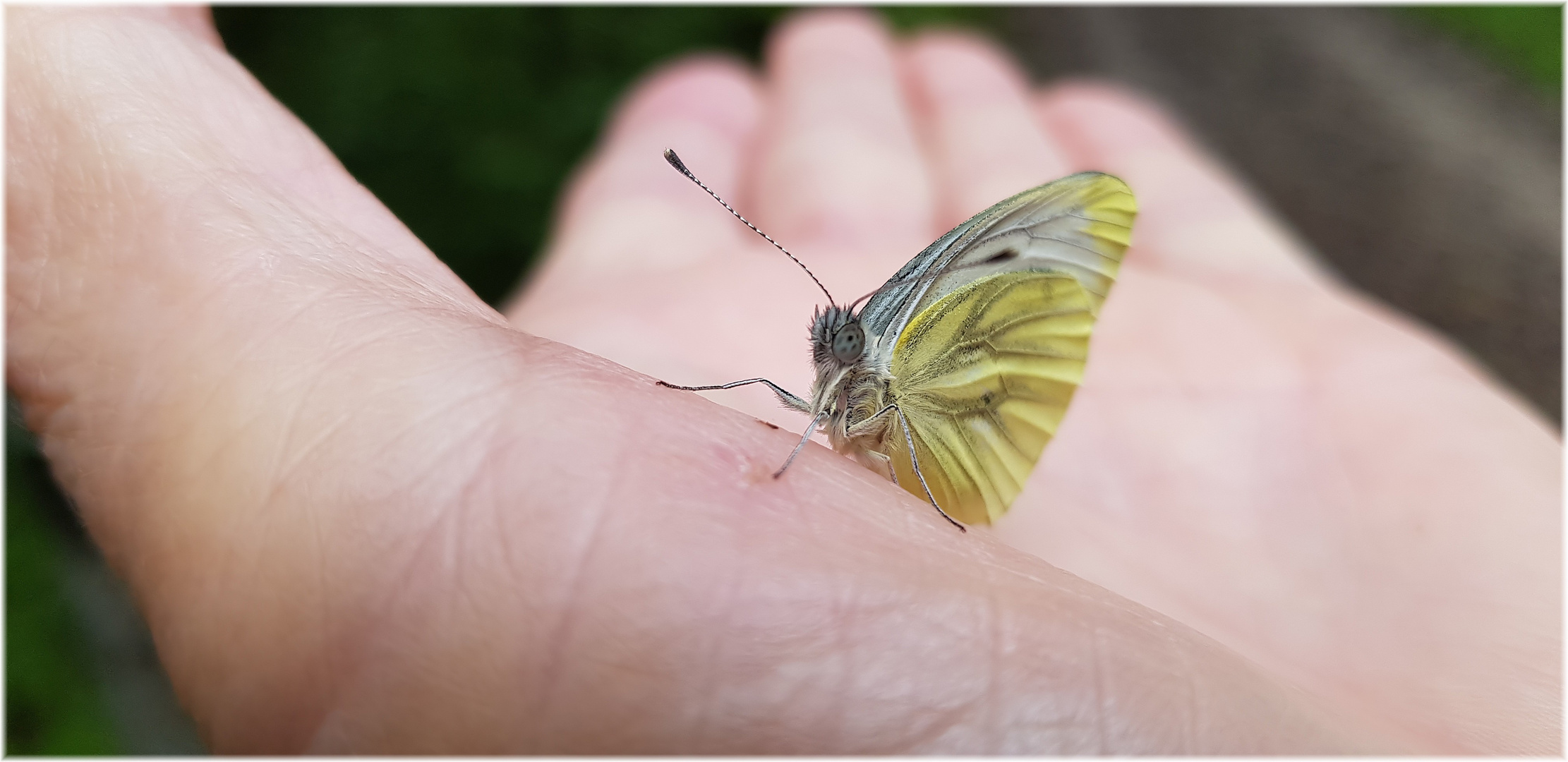 Die Wärme der Hand