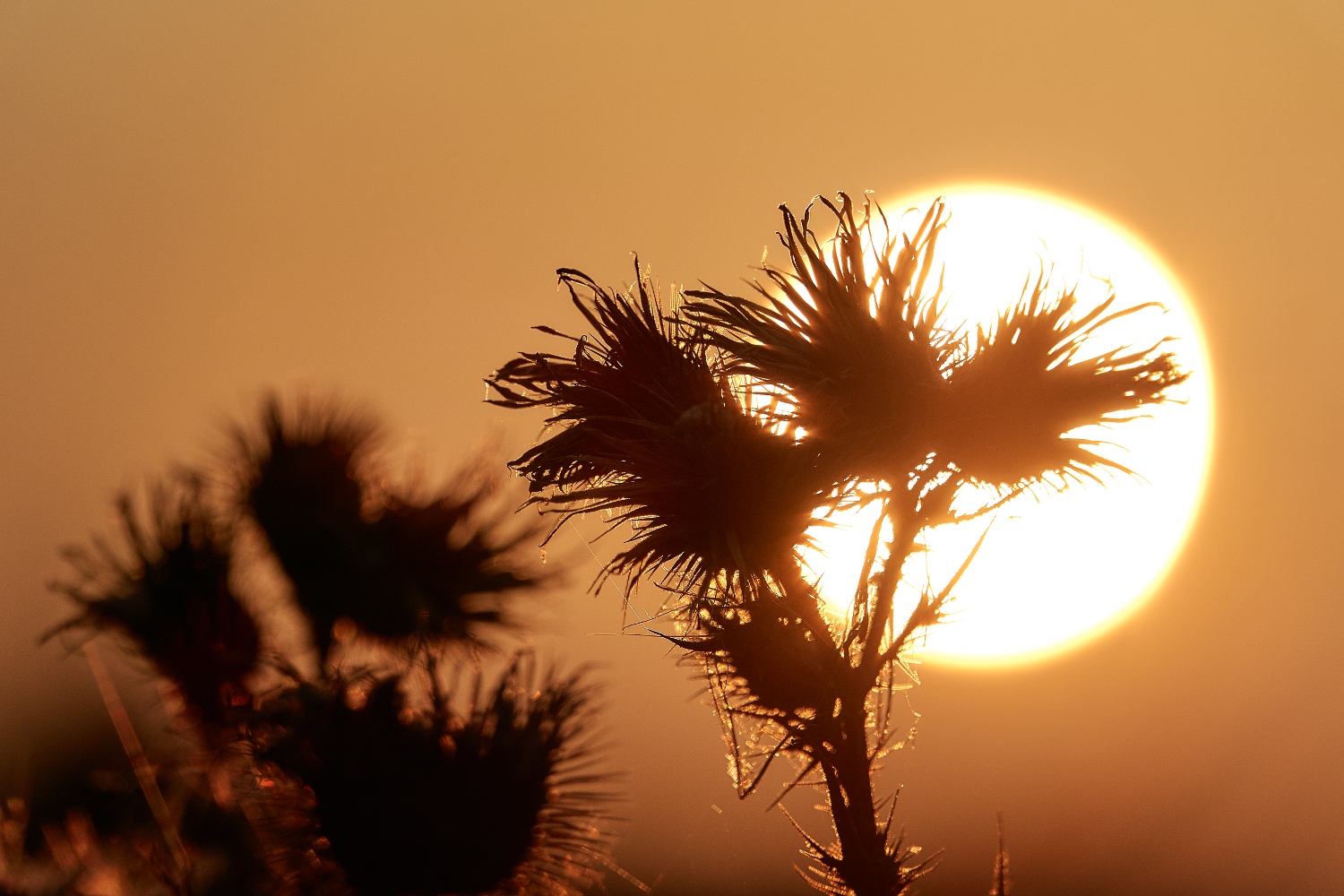 die wärme der letzten Sonnenstrahlen