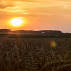 Die Wärme des Abends