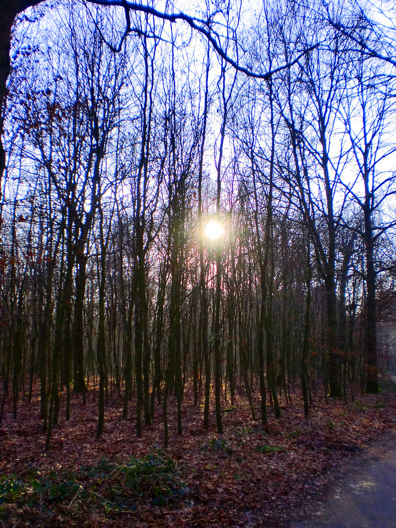 die wärme sonne gelangt überall hin