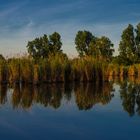 Die Wagbachniederung - Natur Pur