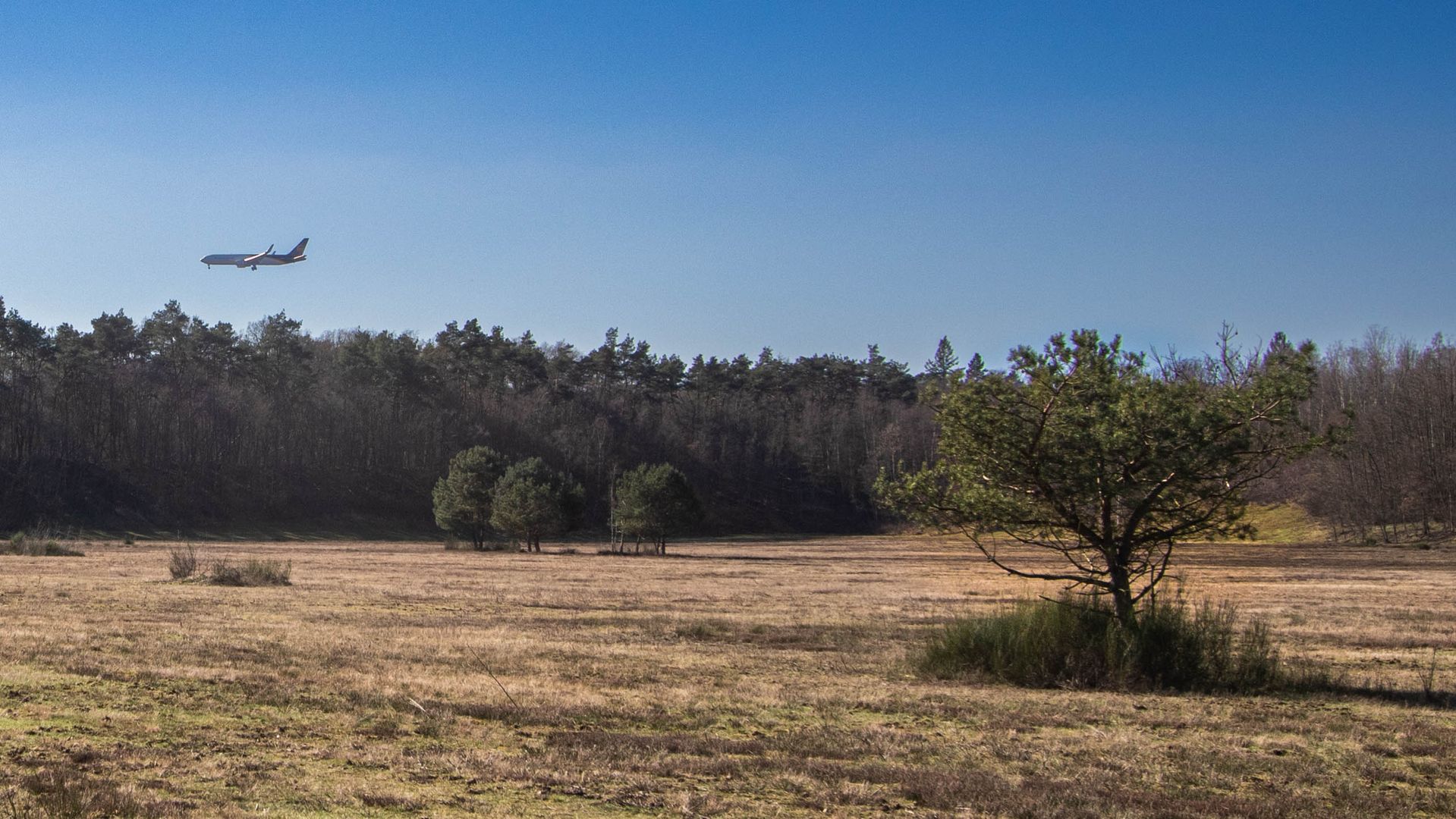 Die Wahner Heide