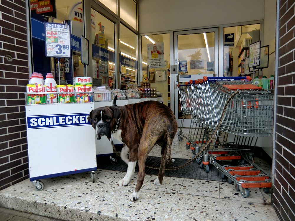 Die Wahrheit über Schlecker