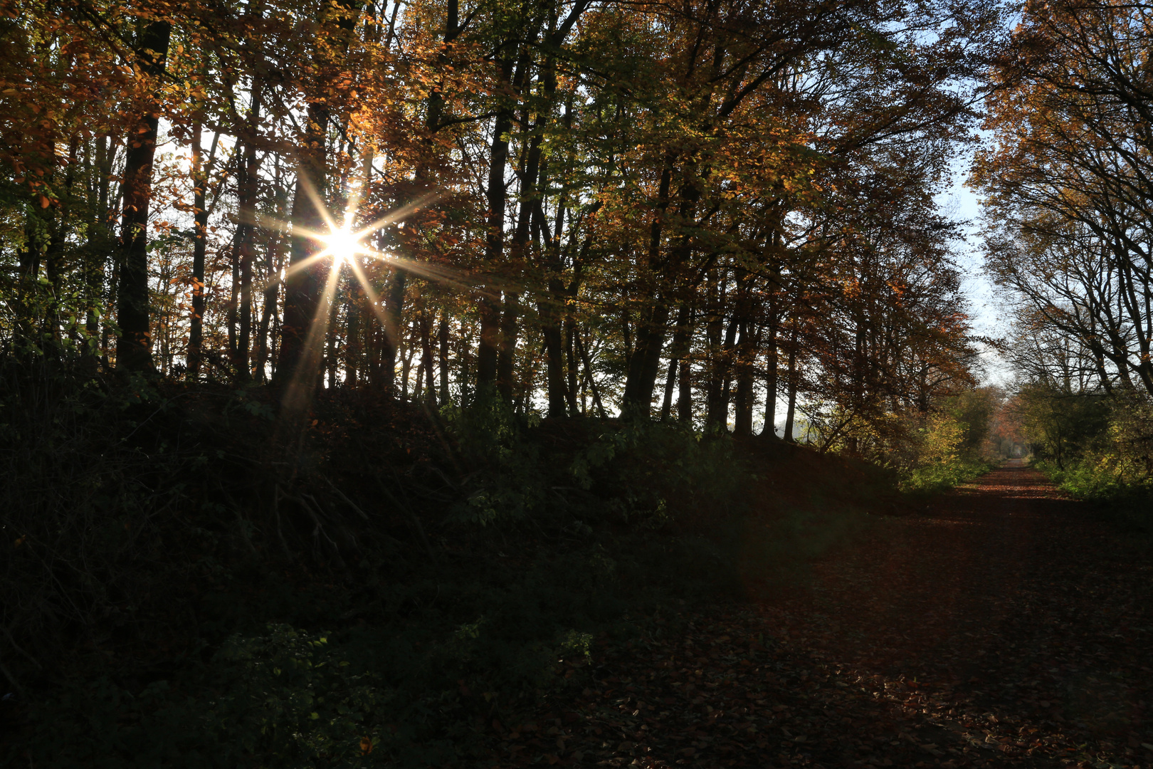 Die wahrscheinlich letzten schönen Tage des Herbst genießen